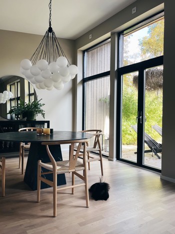 Elitfönster Original Alu 100 pardörr